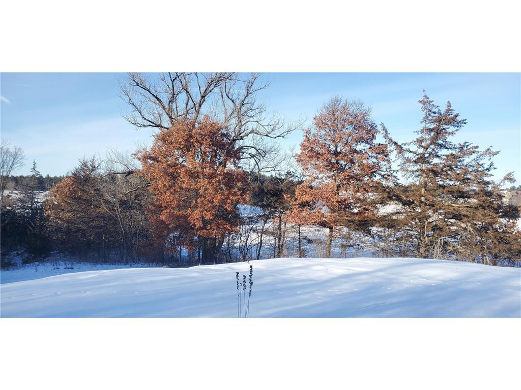 1002 Moon Glow Road Hudson WI 54016 - Shank Lake 7009808 image1