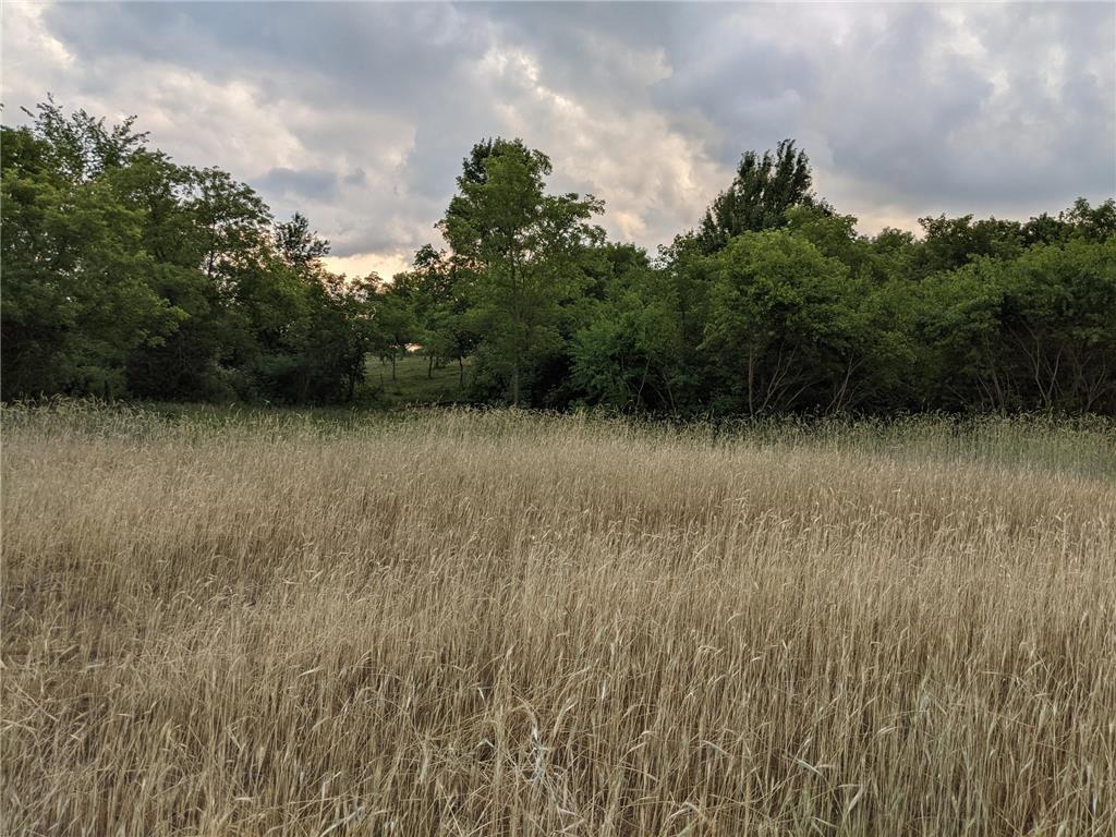 1002 Moon Glow Road Hudson WI 54016 - Shank Lake 7009808 image11