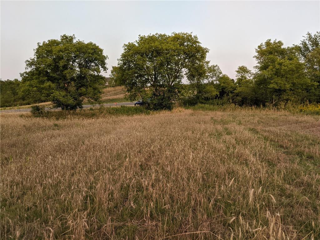 1002 Moon Glow Road Hudson WI 54016 - Shank Lake 7009808 image12