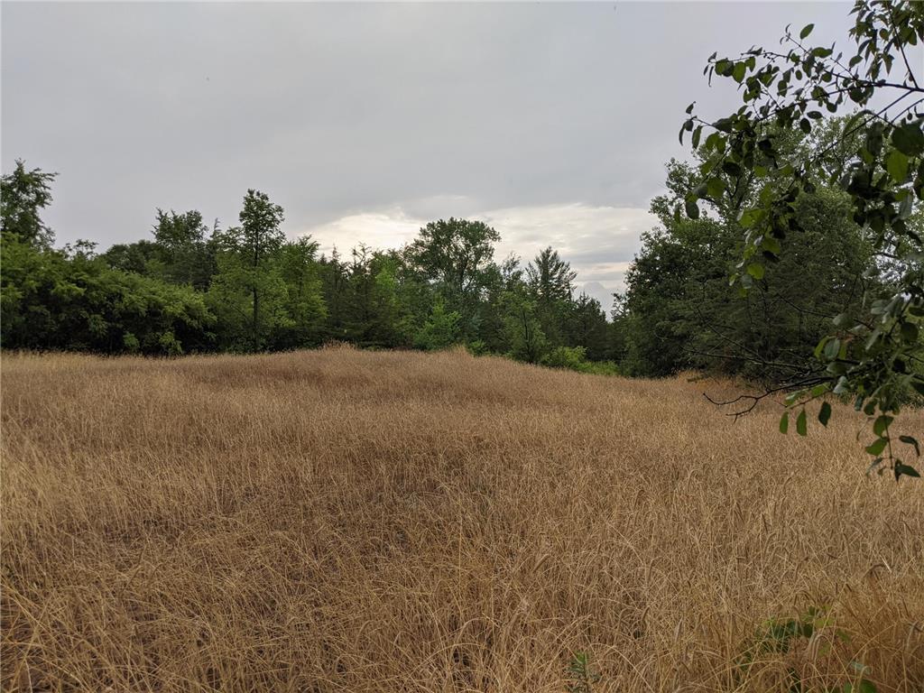 1002 Moon Glow Road Hudson WI 54016 - Shank Lake 7009808 image13