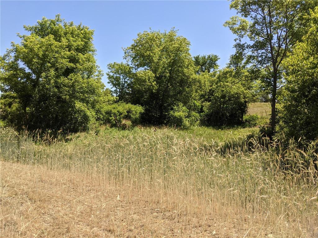 1002 Moon Glow Road Hudson WI 54016 - Shank Lake 7009808 image15