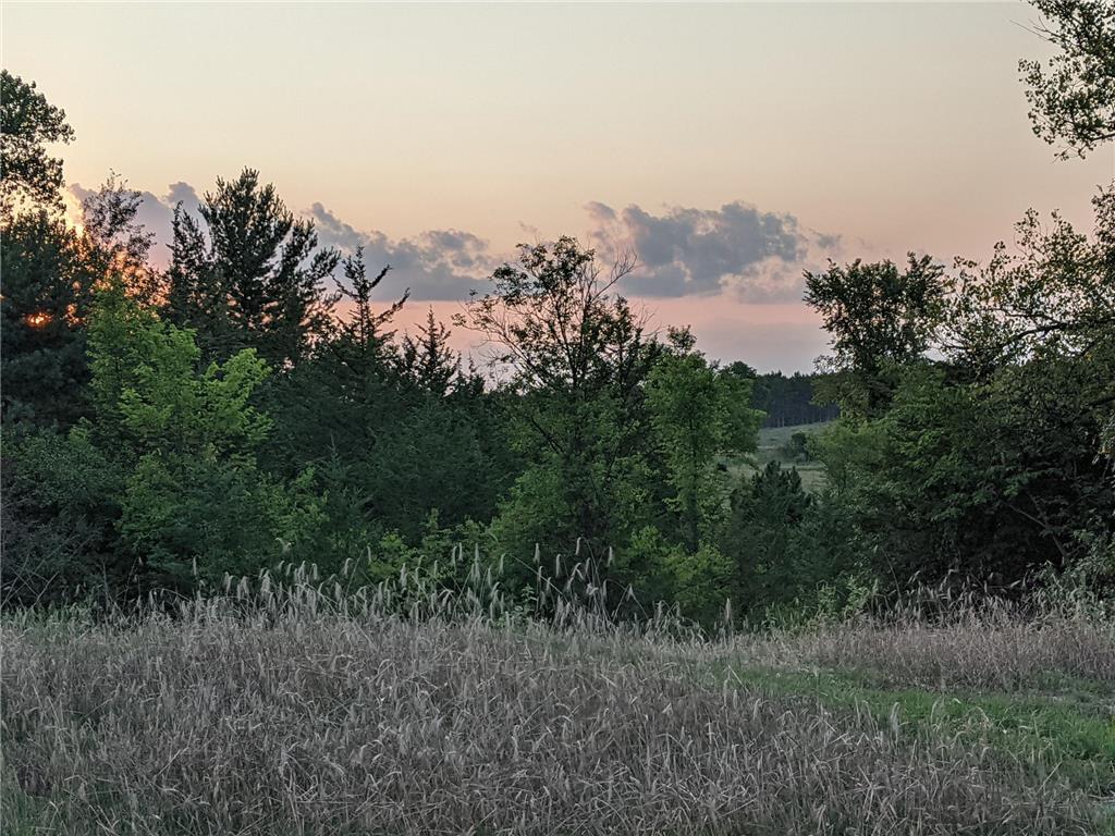 1002 Moon Glow Road Hudson WI 54016 - Shank Lake 7009808 image16