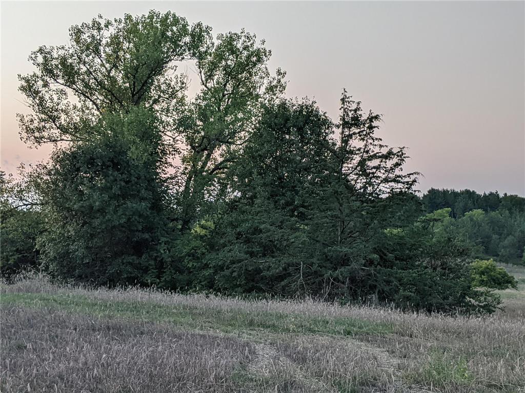 1002 Moon Glow Road Hudson WI 54016 - Shank Lake 7009808 image17