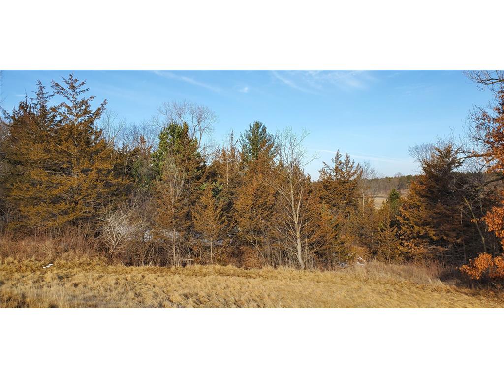 1002 Moon Glow Road Hudson WI 54016 - Shank Lake 7009808 image19