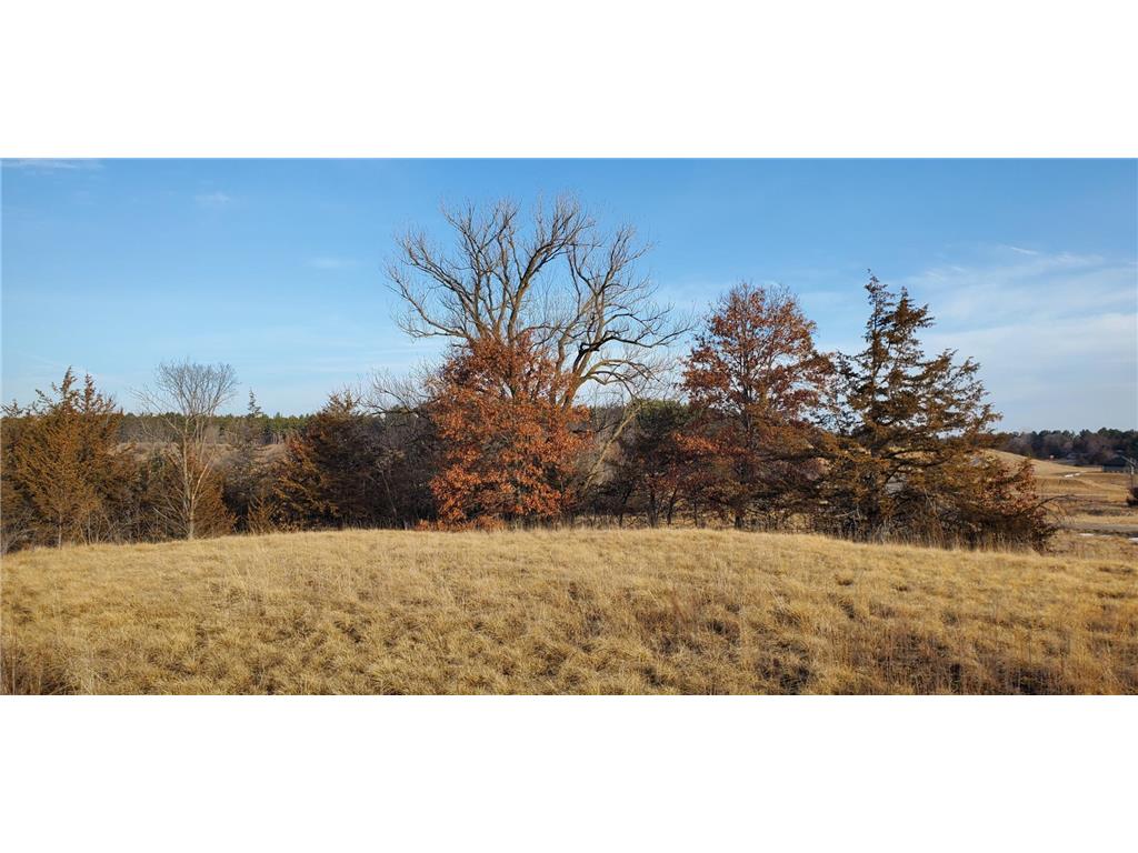 1002 Moon Glow Road Hudson WI 54016 - Shank Lake 7009808 image21