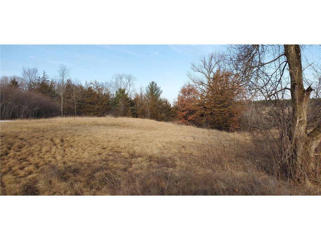 1002 Moon Glow Road Hudson WI 54016 - Shank Lake 7009808 image23