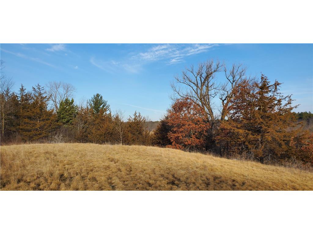 1002 Moon Glow Road Hudson WI 54016 - Shank Lake 7009808 image24