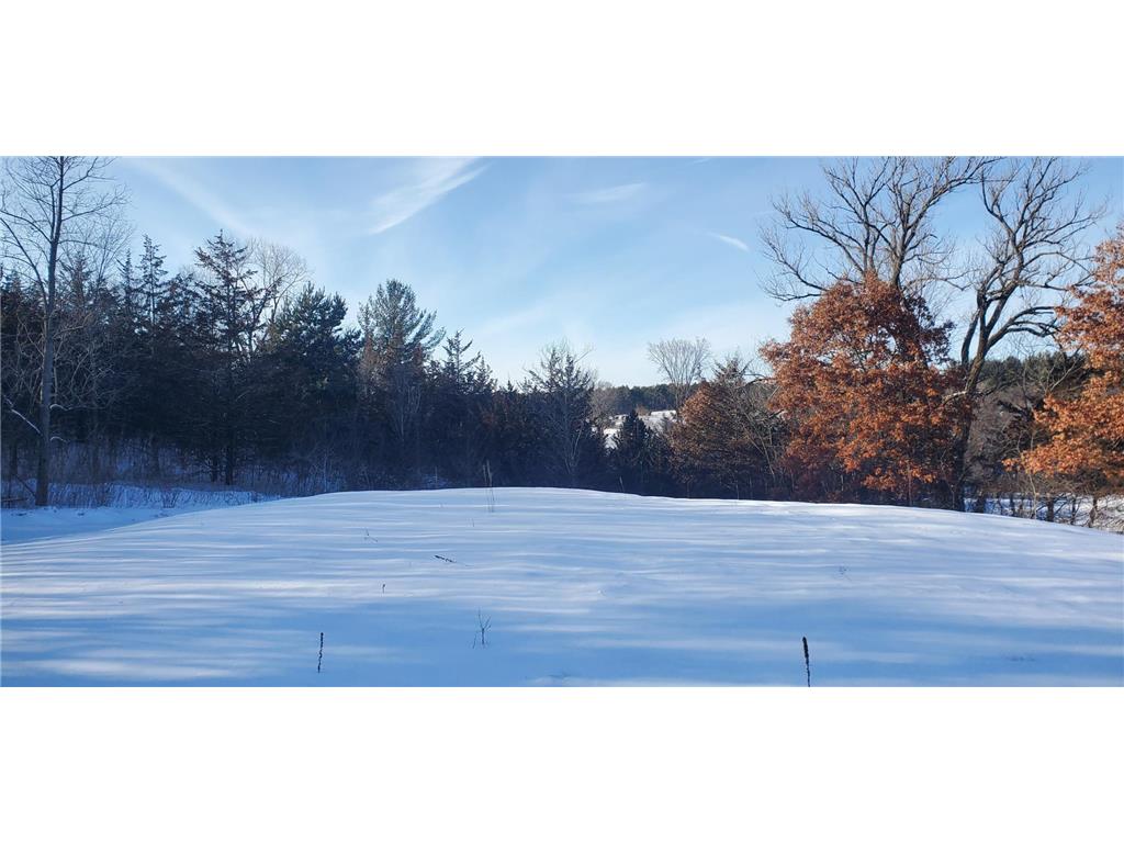 1002 Moon Glow Road Hudson WI 54016 - Shank Lake 7009808 image6