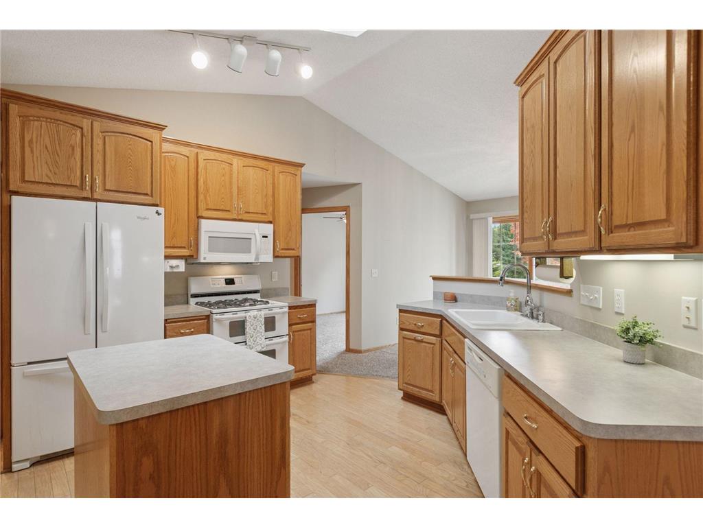 10025 Northwood Lane N Brooklyn Park MN 55443 7077482 image13