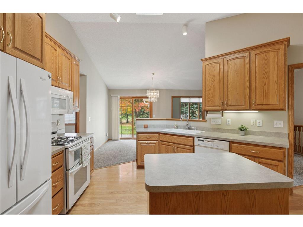 10025 Northwood Lane N Brooklyn Park MN 55443 7077482 image14