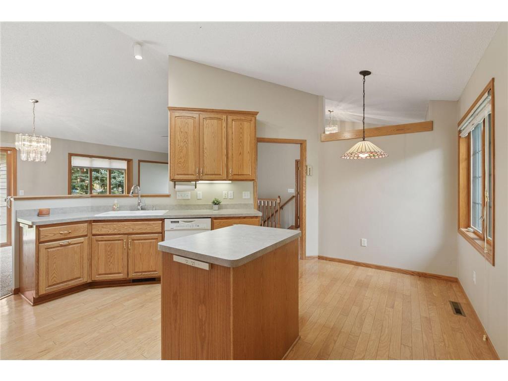 10025 Northwood Lane N Brooklyn Park MN 55443 7077482 image15