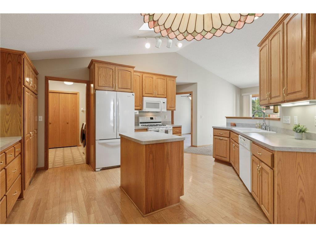 10025 Northwood Lane N Brooklyn Park MN 55443 7077482 image17