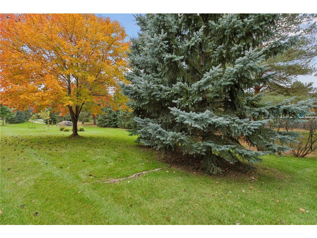 10025 Northwood Lane N Brooklyn Park MN 55443 7077482 image34