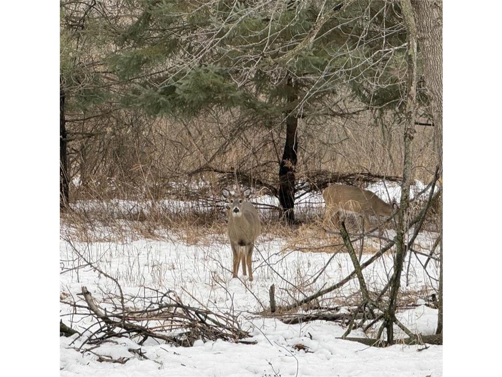 10025 Russell Avenue N #2 Brooklyn Park MN 55444 6825423 image5