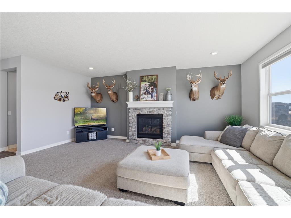 10028 190th Lane NW Elk River MN 55330 7041009 image12