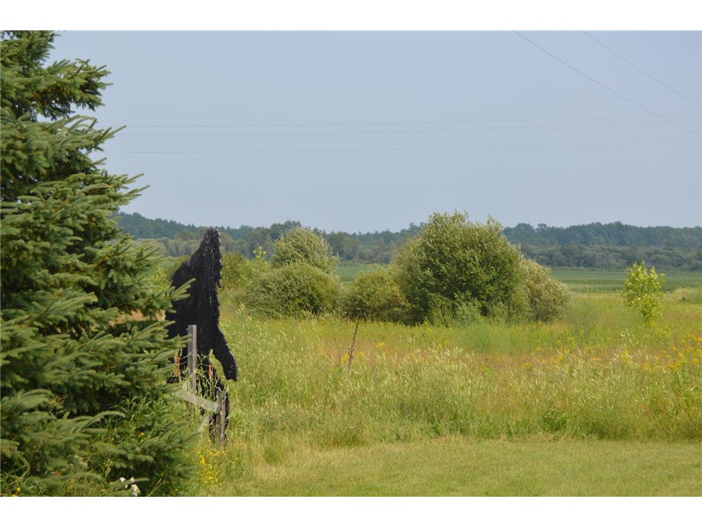 1003 50th Avenue NW Mcdougald Twp MN 56686 6758907 image8
