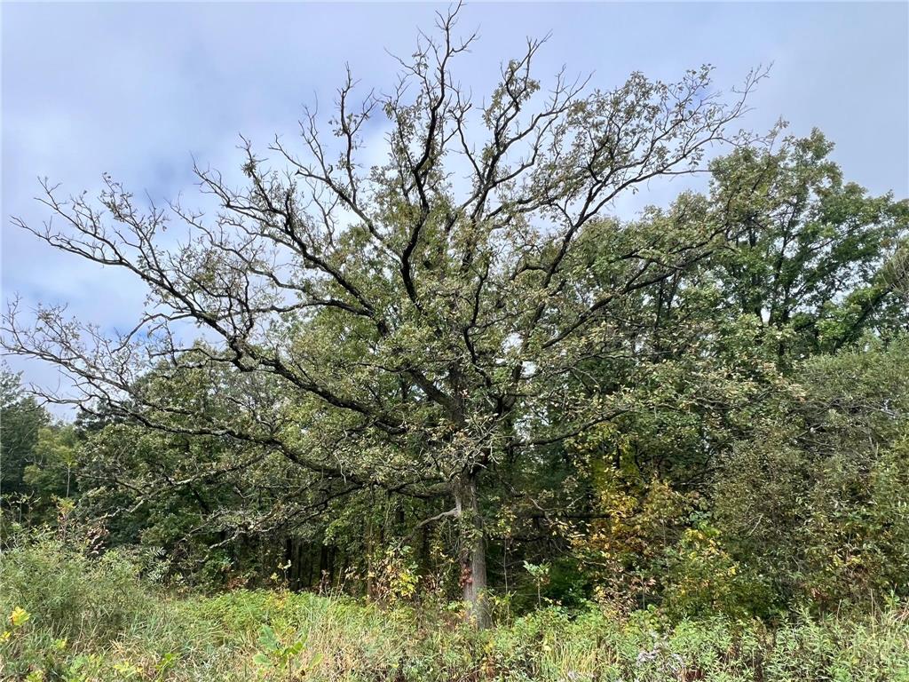 10038 County Road 8 Brainerd MN 56401 6814058 image7