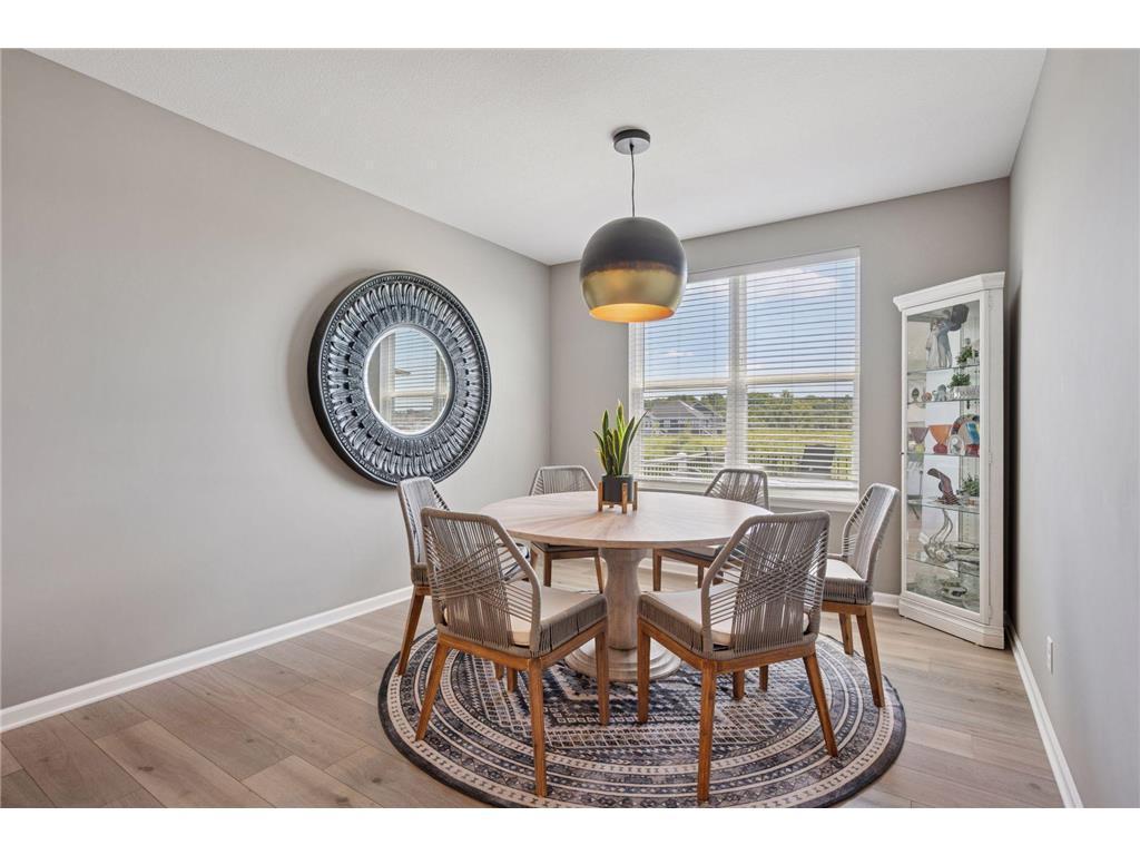 10039 Mulberry Lane Corcoran MN 55374 6819821 image7