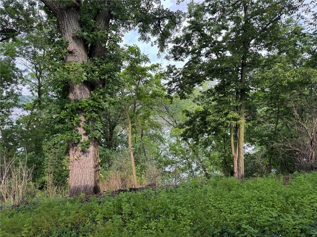 1004 S Ramsey Street Redwood Falls MN 56283 - Redwood 6724095 image28