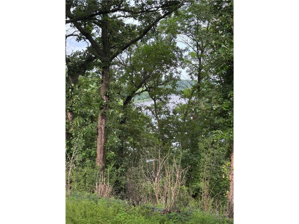 1004 S Ramsey Street Redwood Falls MN 56283 - Redwood 6724095 image30