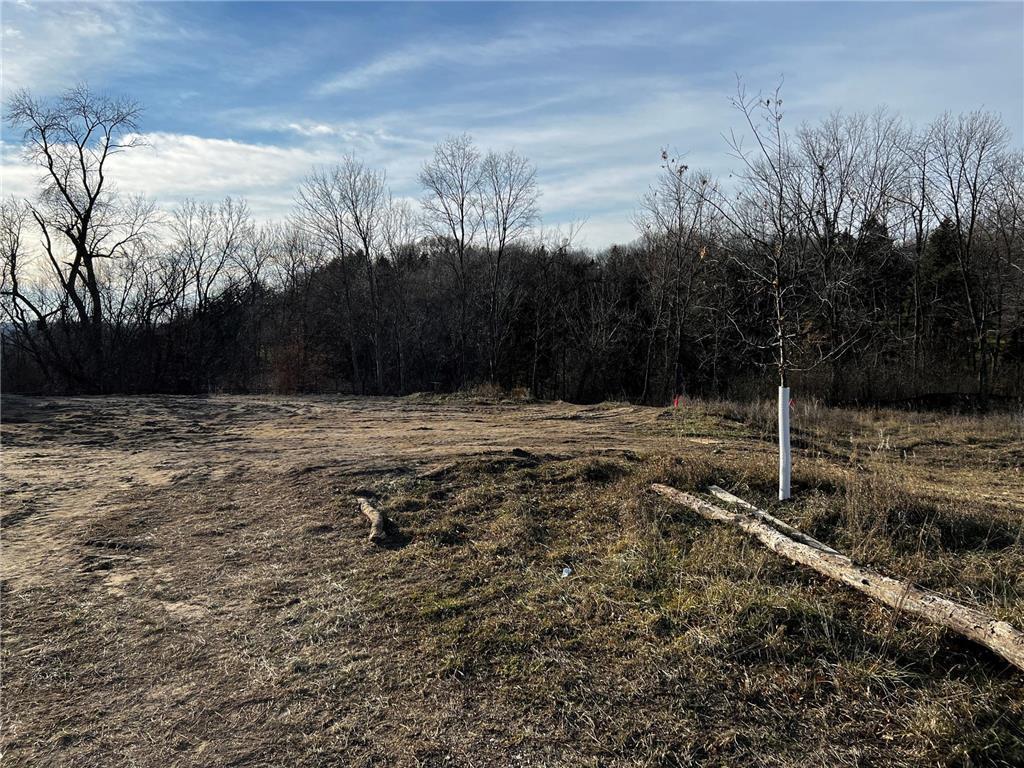 10040 Azure Skies Eden Prairie MN 55347 6510217 image1