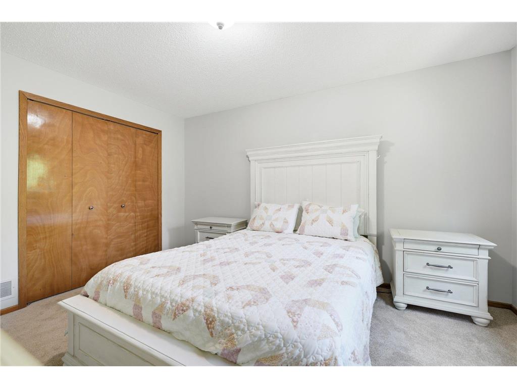 10045 Hemlock Lane N Maple Grove MN 55369 7082741 image17
