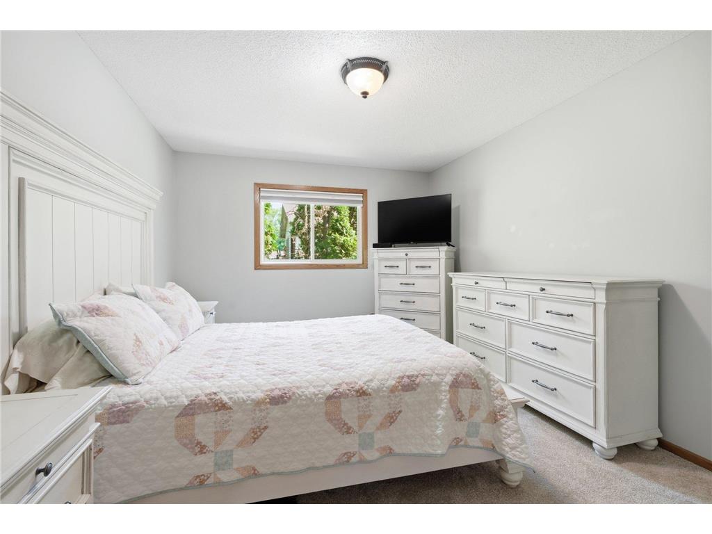 10045 Hemlock Lane N Maple Grove MN 55369 7082741 image18