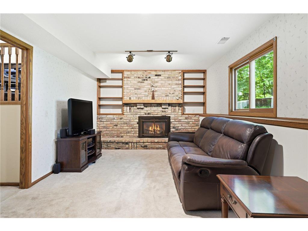 10045 Hemlock Lane N Maple Grove MN 55369 7082741 image22