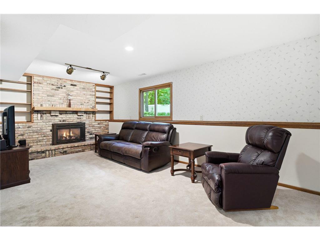 10045 Hemlock Lane N Maple Grove MN 55369 7082741 image23