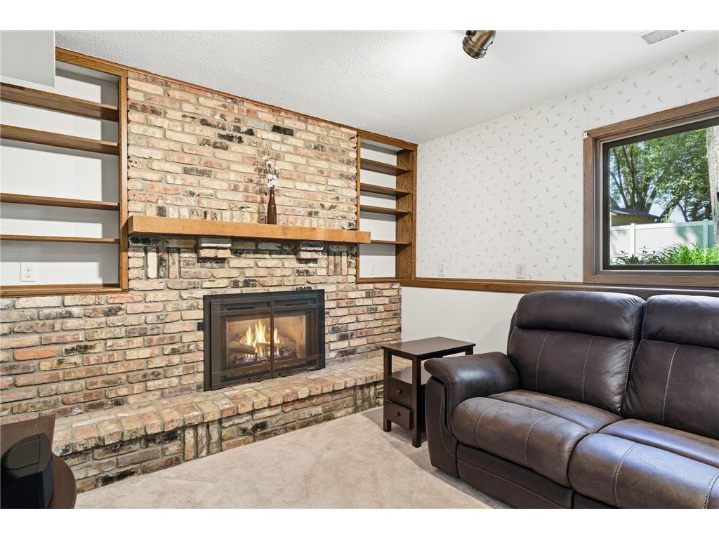 10045 Hemlock Lane N Maple Grove MN 55369 7082741 image25
