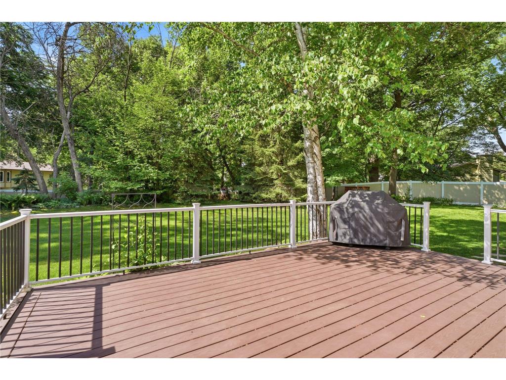 10045 Hemlock Lane N Maple Grove MN 55369 7082741 image29