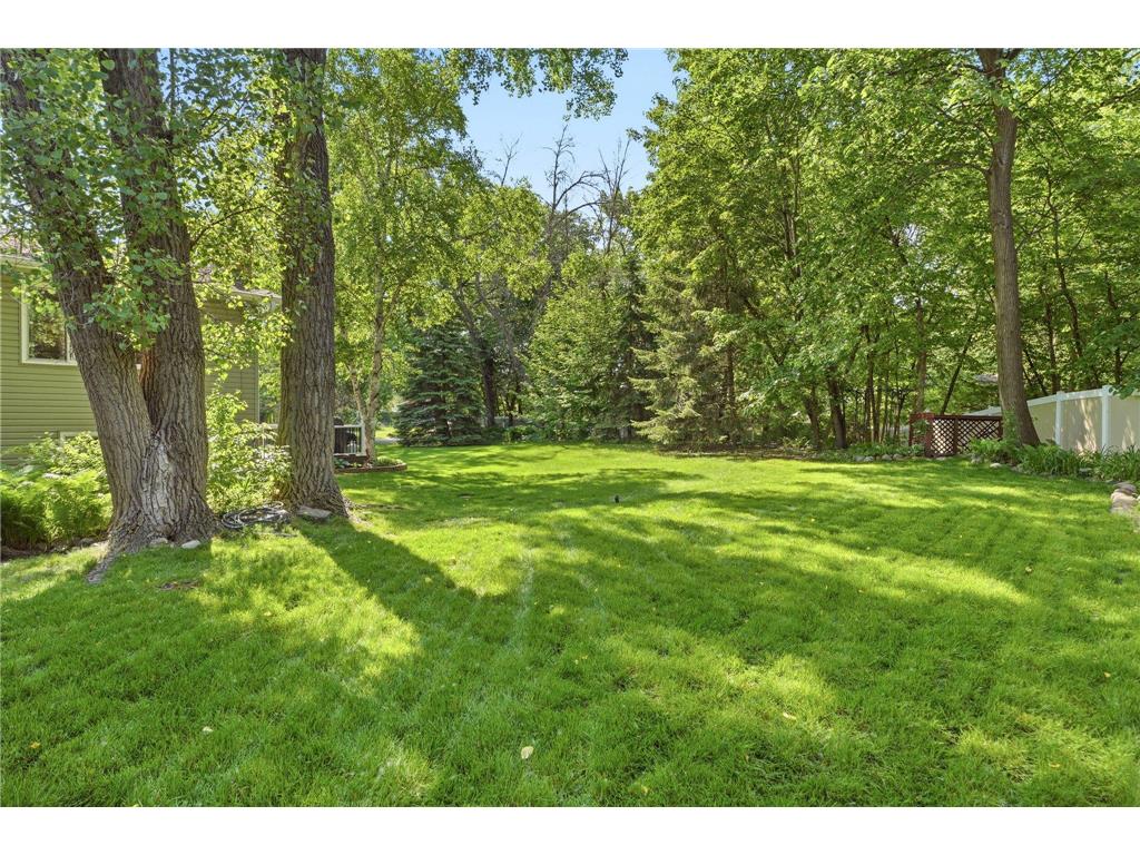 10045 Hemlock Lane N Maple Grove MN 55369 7082741 image33