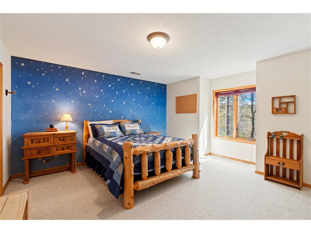 10047 Wood Ridge Ideal Twp MN 56472 - Pig 7062766 image31