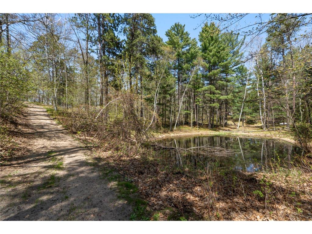 10047 Wood Ridge Ideal Twp MN 56472 - Pig 7062766 image43
