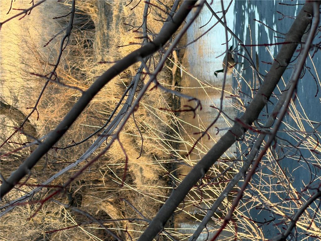 1005 12th Street SE Waseca MN 56093 - Gaiter Lake 7030141 image5