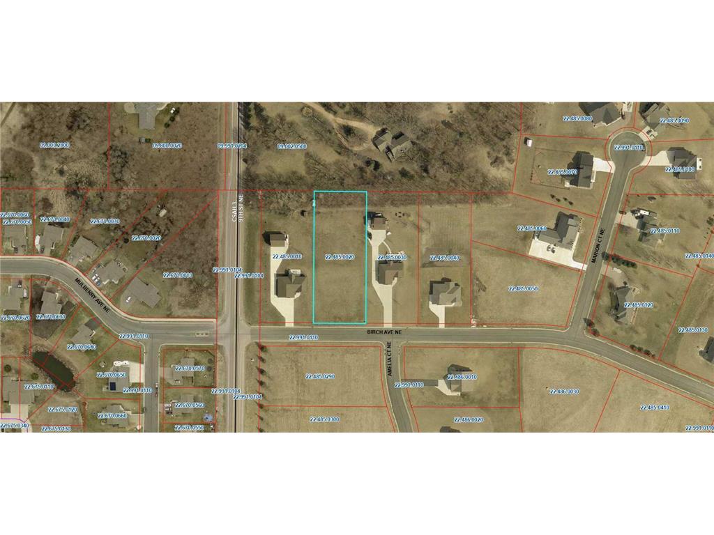 1005 Birch Avenue NE Montgomery MN 56069 6693032 image2