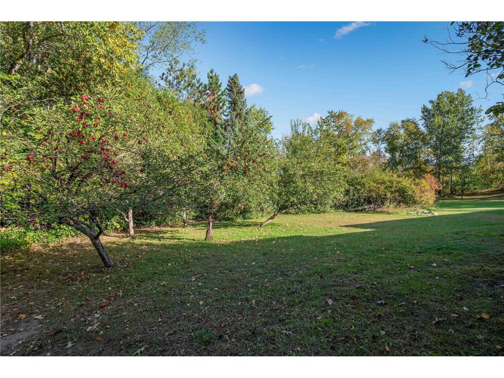 1005 Horseshoe Lake Road Grand Rapids MN 55744 6796863 image9