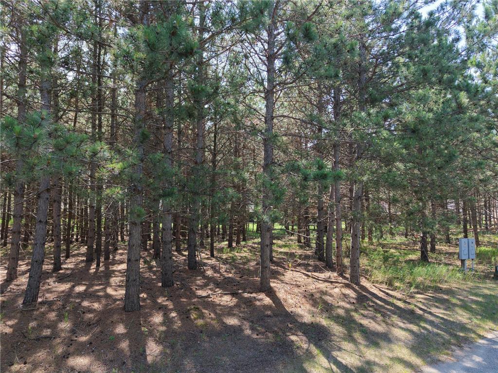 1005 Ladyslipper Unit 15 Lane Park Rapids MN 56470 7104573 image1
