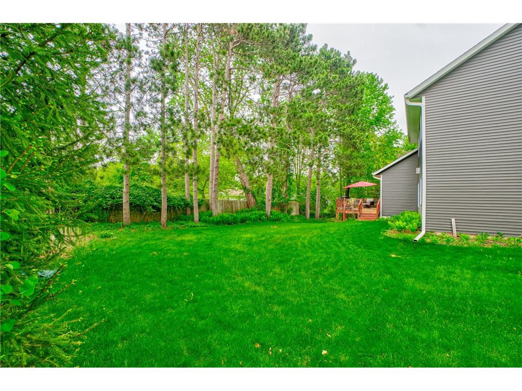 1005 Spruce Drive Hudson WI 54016 7078218 image47
