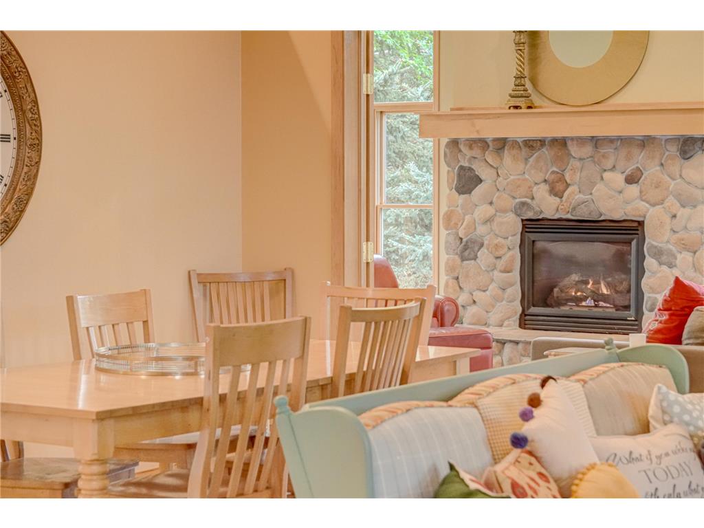 1005 Spruce Drive Hudson WI 54016 7078218 image7