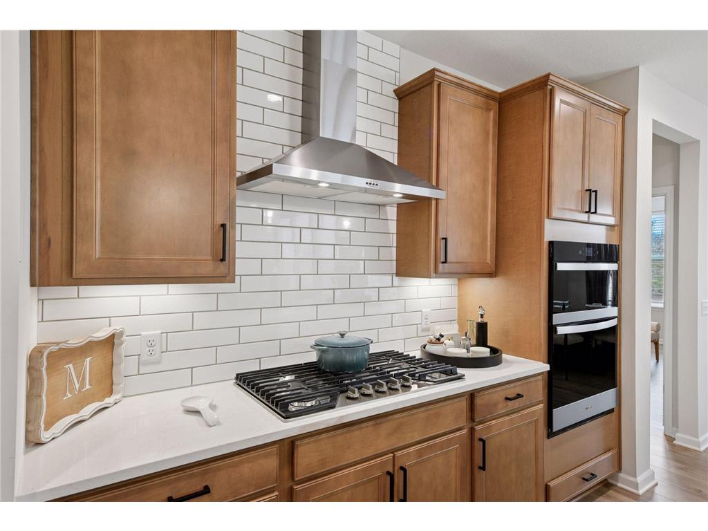 10054 Mulberry Lane Corcoran MN 55374 6814568 image7