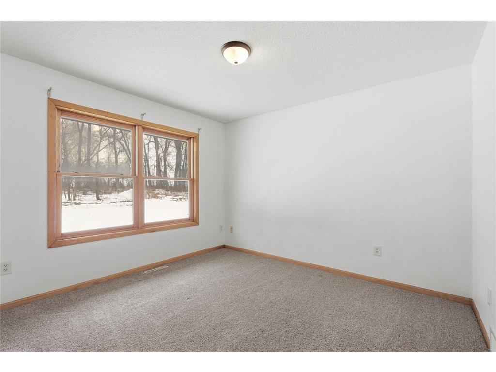 10055 460th Street Wanamingo Twp MN 55983 7027818 image14