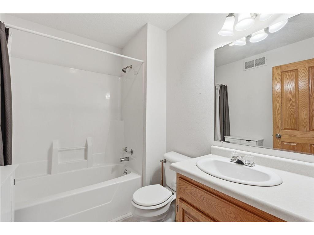 10055 460th Street Wanamingo Twp MN 55983 7027818 image16