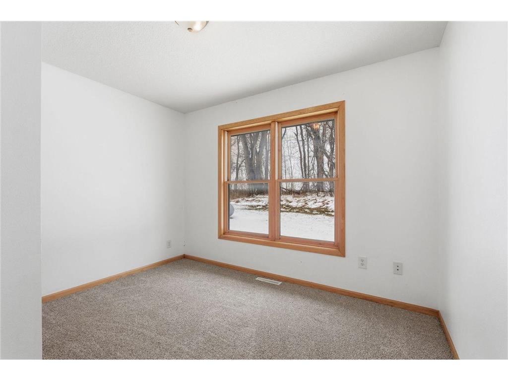 10055 460th Street Wanamingo Twp MN 55983 7027818 image17