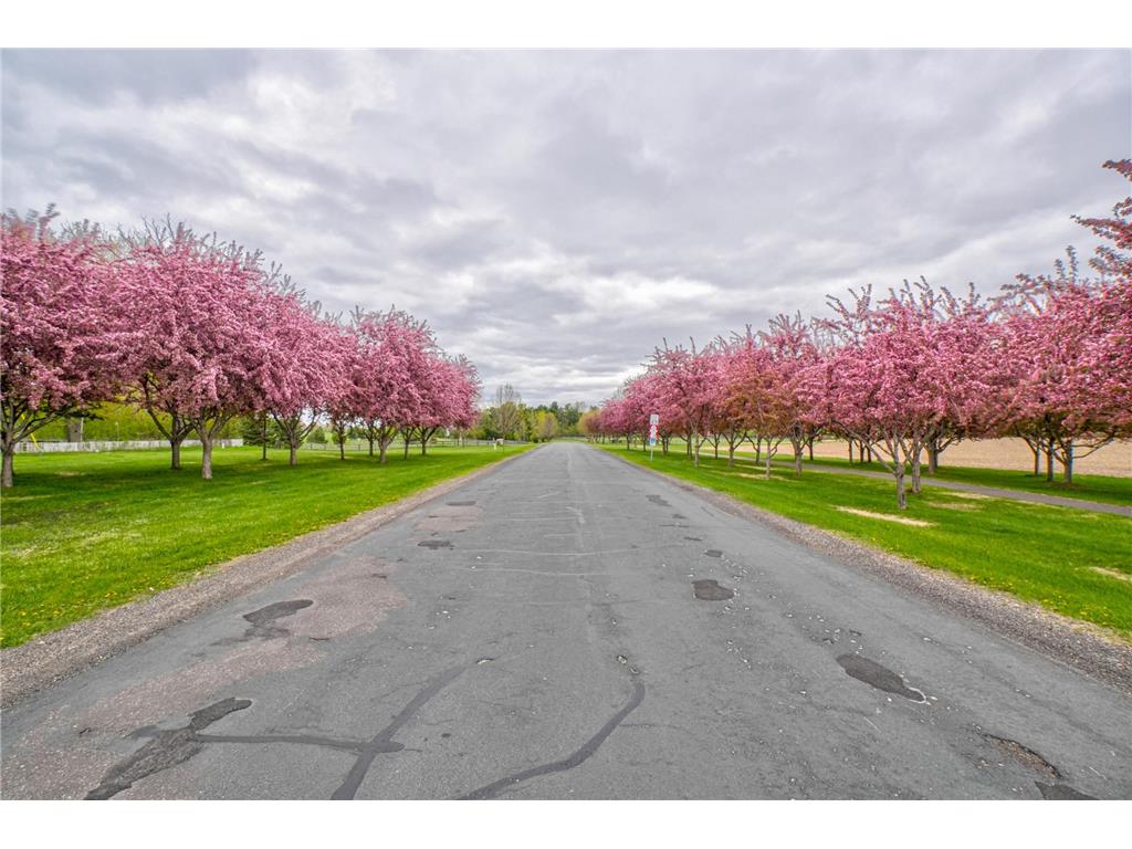 10059 Tapestry Road Lake Elmo MN 55042 7070171 image112