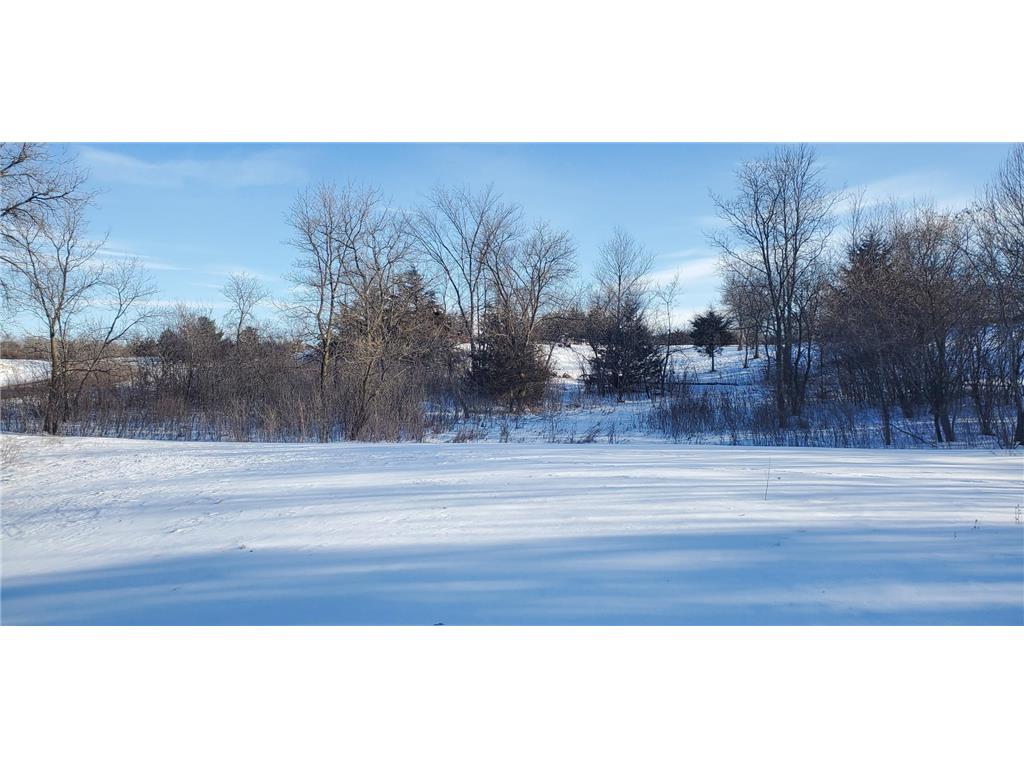 1006 Moon Glow Road Hudson WI 54016 - Shank Lake 6765698 image1