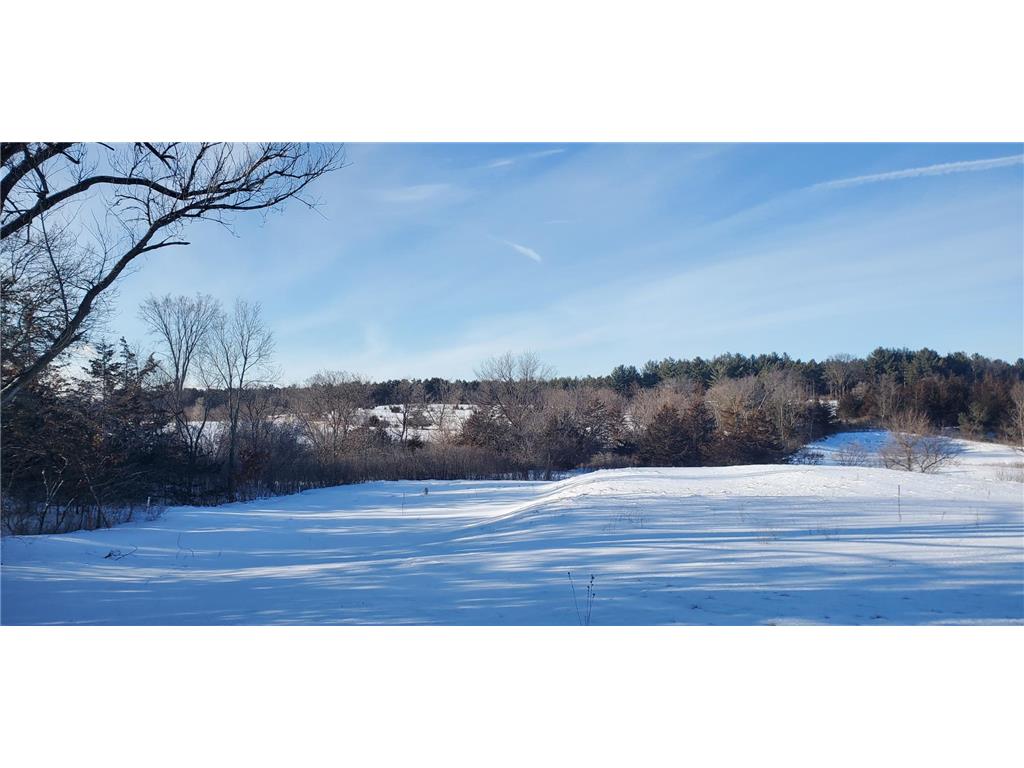 1006 Moon Glow Road Hudson WI 54016 - Shank Lake 6765698 image5