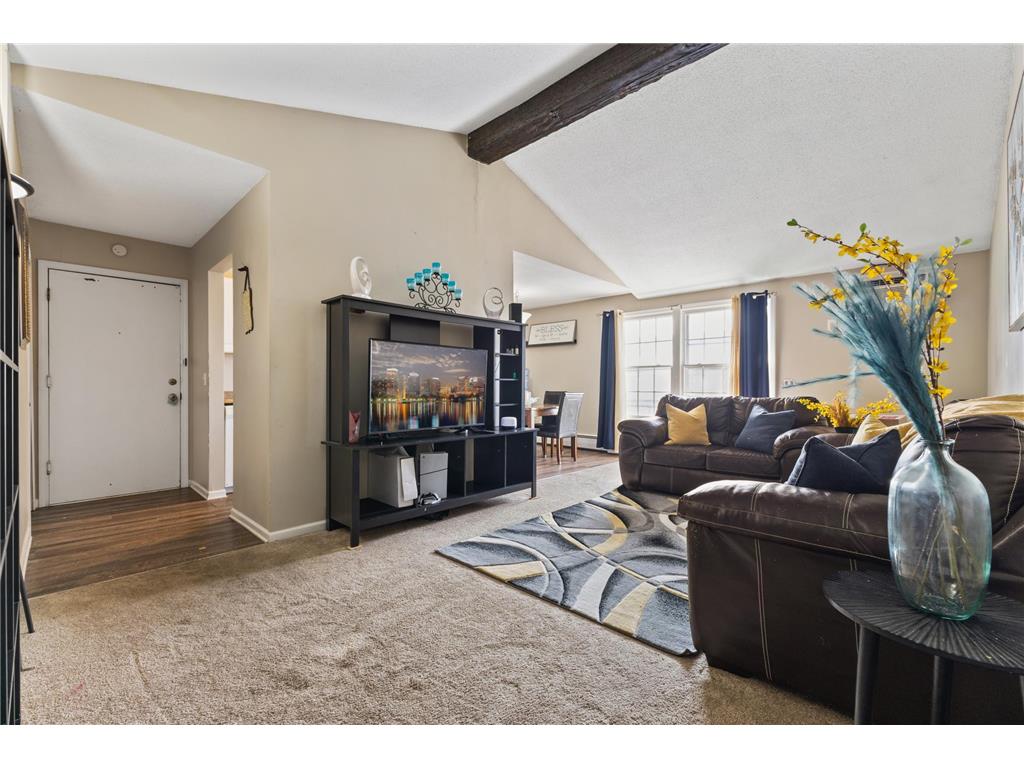 1007 11th Avenue S #8 Hopkins MN 55343 7045665 image12