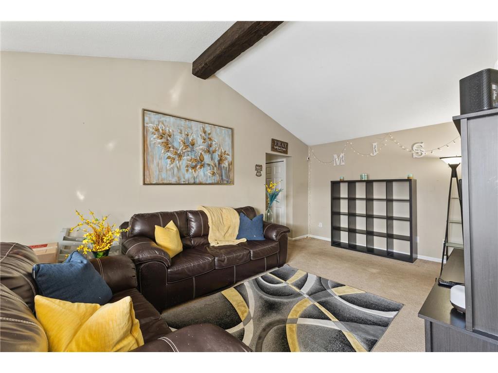 1007 11th Avenue S #8 Hopkins MN 55343 7045665 image13
