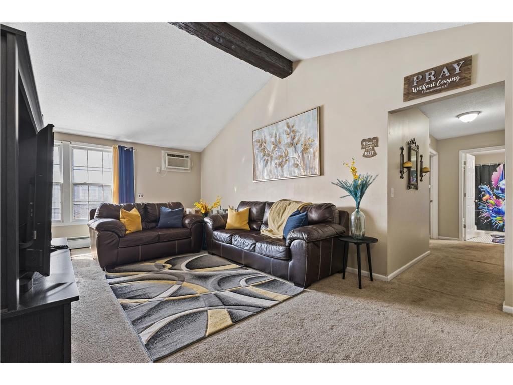 1007 11th Avenue S #8 Hopkins MN 55343 7045665 image14